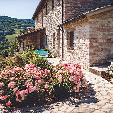 Agriturismo Casal San Sergio Fossombrone Exterior photo